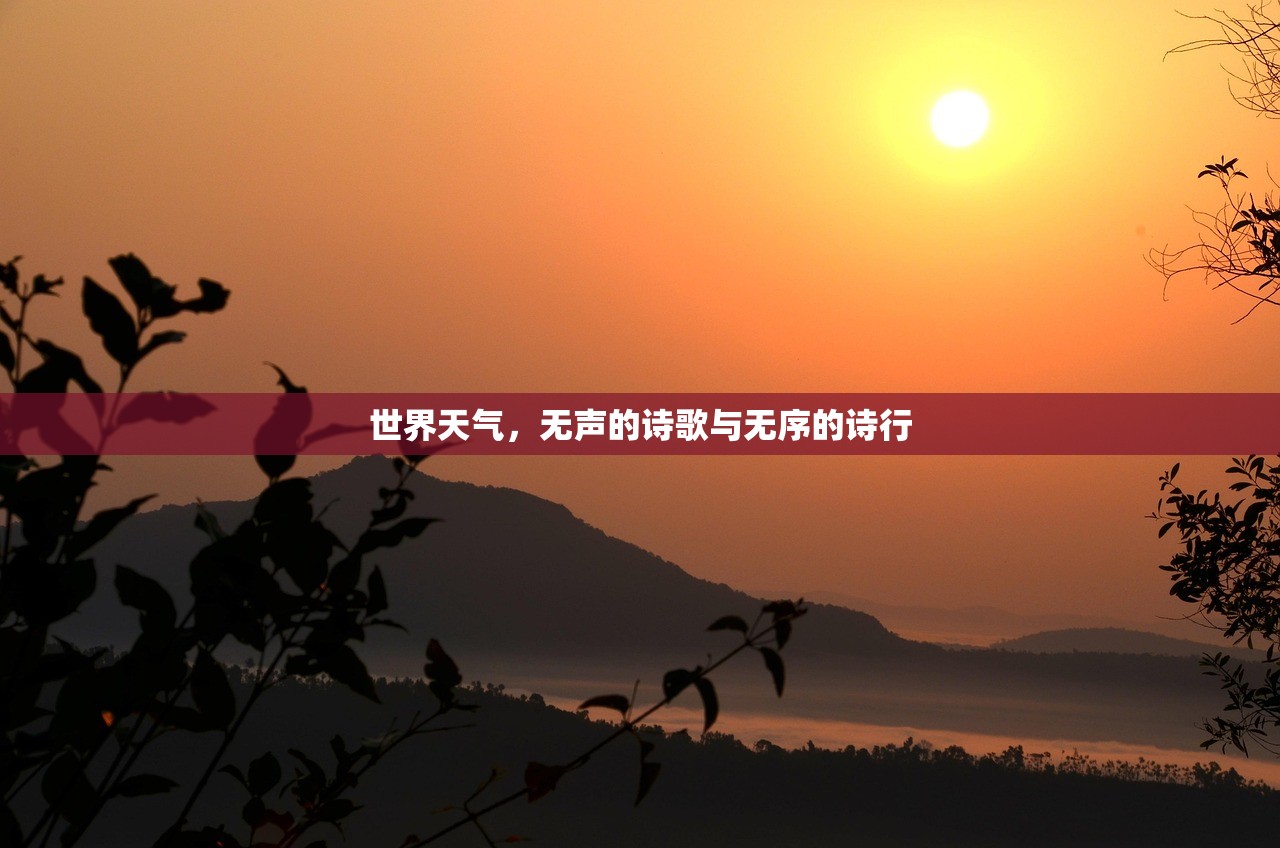 世界天气，无声的诗歌与无序的诗行