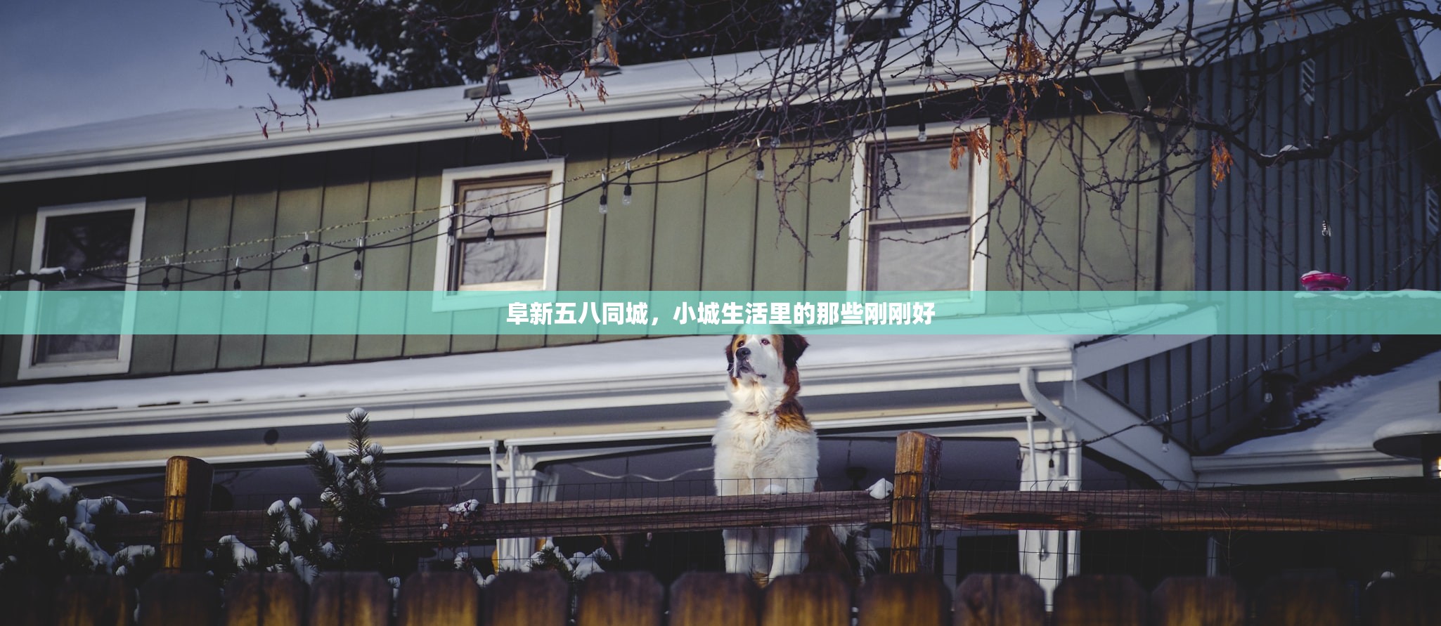 阜新五八同城，小城生活里的那些刚刚好