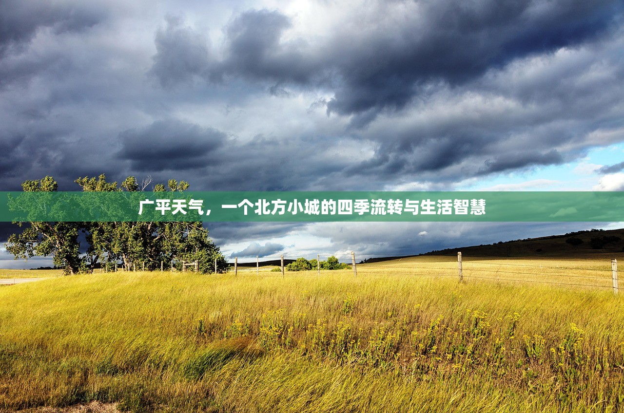 广平天气，一个北方小城的四季流转与生活智慧