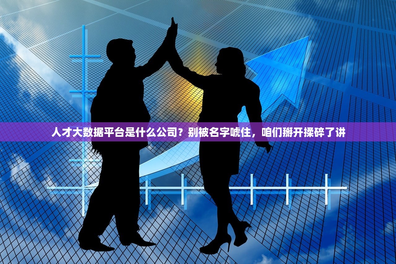 人才大数据平台是什么公司？别被名字唬住，咱们掰开揉碎了讲