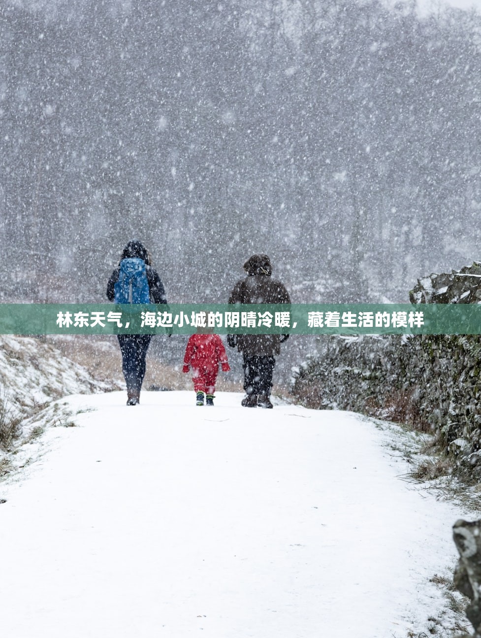 林东天气，海边小城的阴晴冷暖，藏着生活的模样