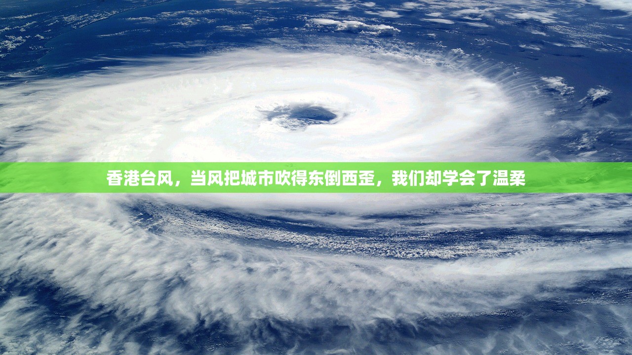 香港台风，当风把城市吹得东倒西歪，我们却学会了温柔