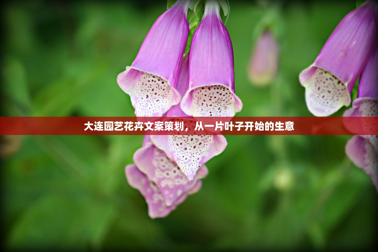 大连园艺花卉文案策划，从一片叶子开始的生意