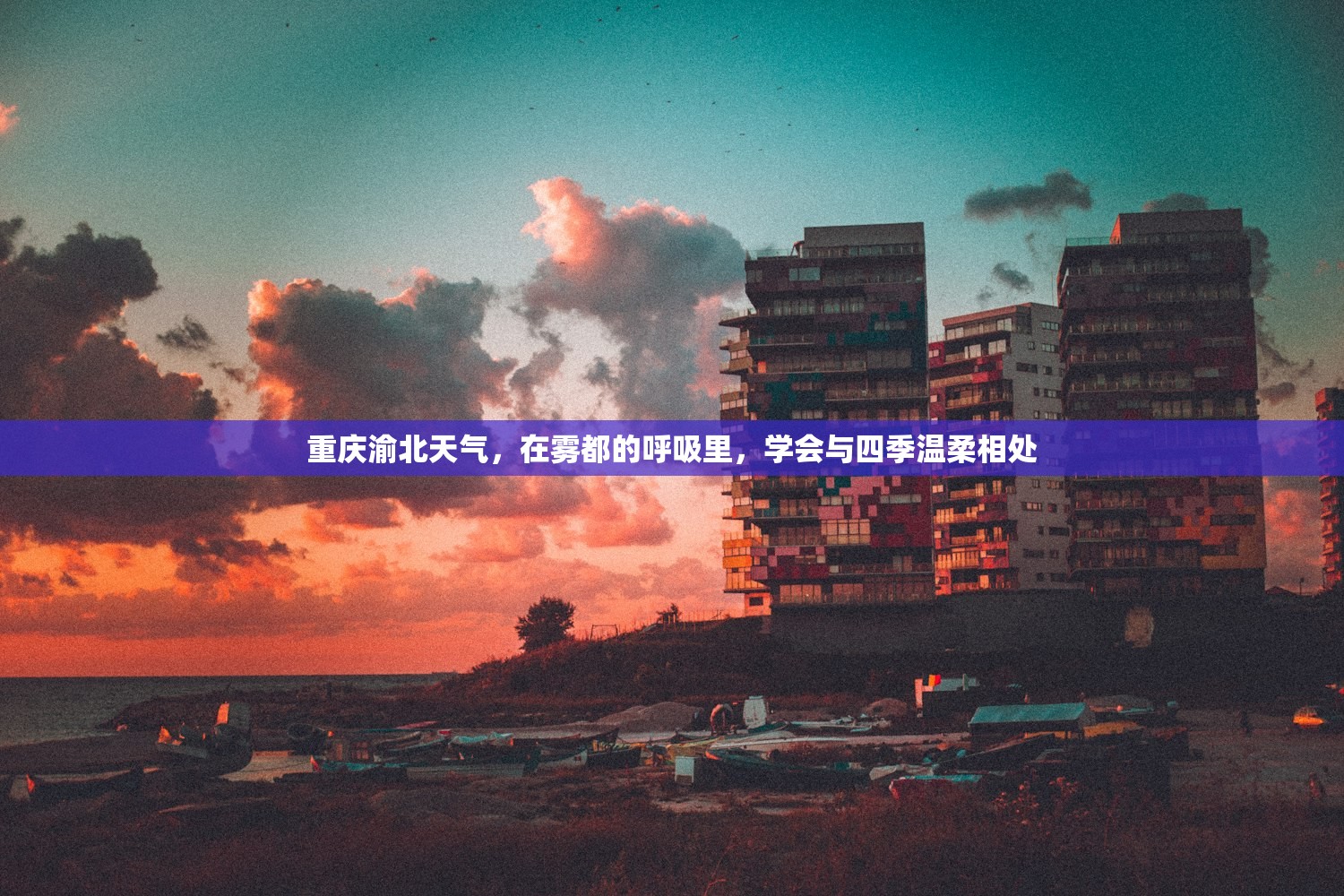 重庆渝北天气，在雾都的呼吸里，学会与四季温柔相处