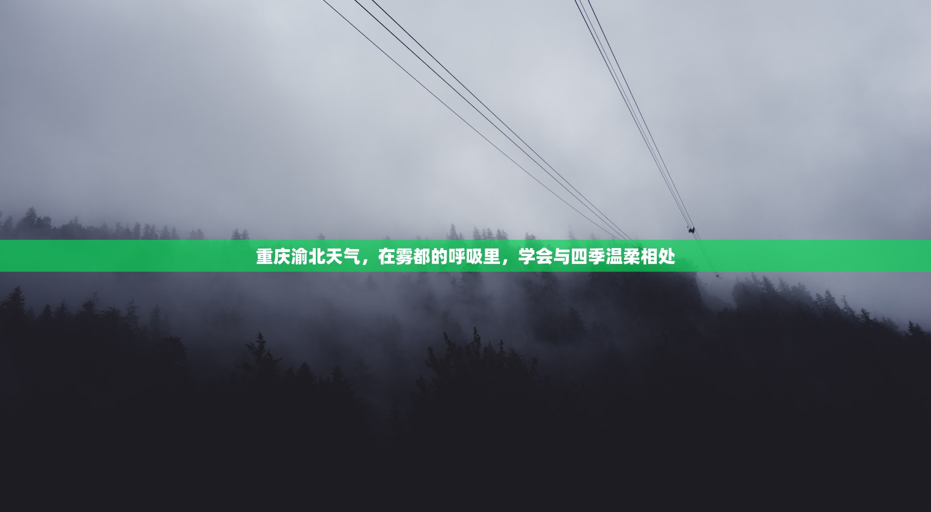 重庆渝北天气，在雾都的呼吸里，学会与四季温柔相处