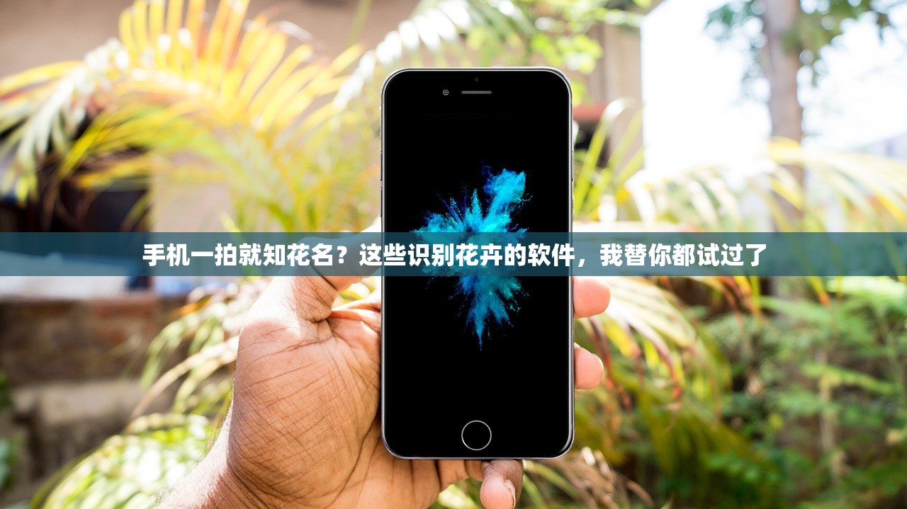 手机一拍就知花名？这些识别花卉的软件，我替你都试过了