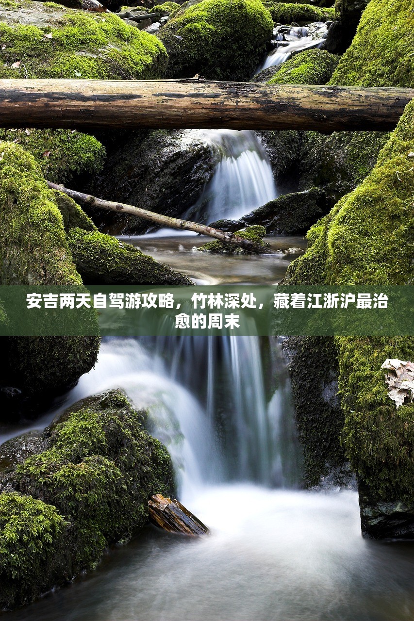 安吉两天自驾游攻略，竹林深处，藏着江浙沪最治愈的周末