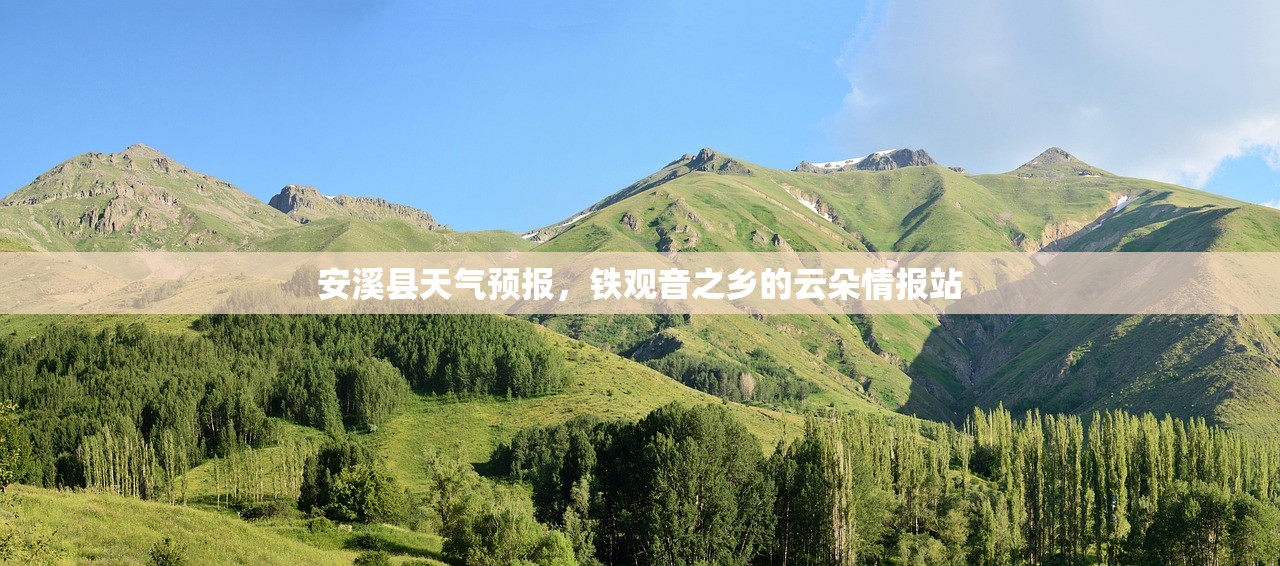 安溪县天气预报，铁观音之乡的云朵情报站