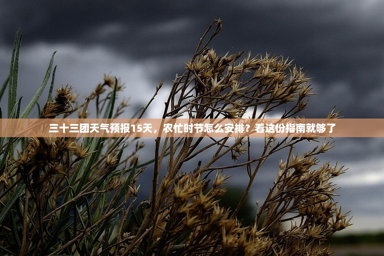 三十三团天气预报15天，农忙时节怎么安排？看这份指南就够了