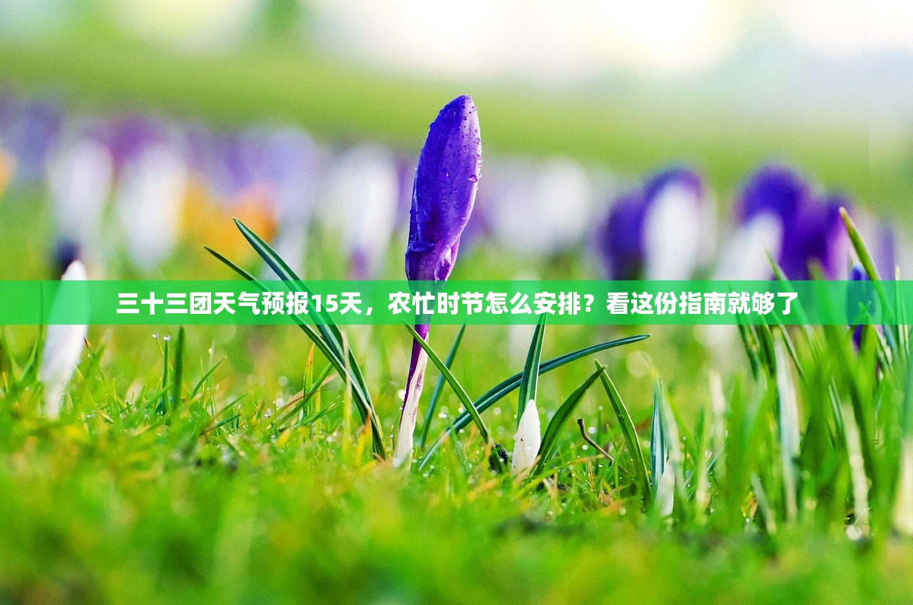 三十三团天气预报15天，农忙时节怎么安排？看这份指南就够了
