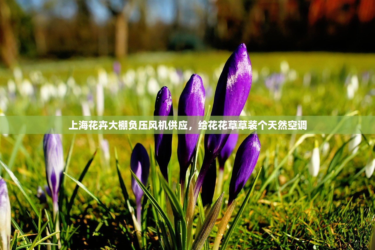 上海花卉大棚负压风机供应，给花花草草装个天然空调