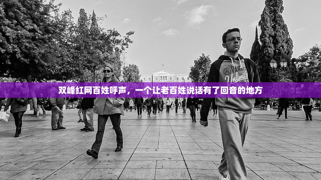 双峰红网百姓呼声，一个让老百姓说话有了回音的地方
