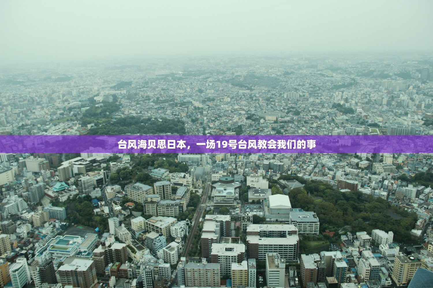 台风海贝思日本，一场19号台风教会我们的事