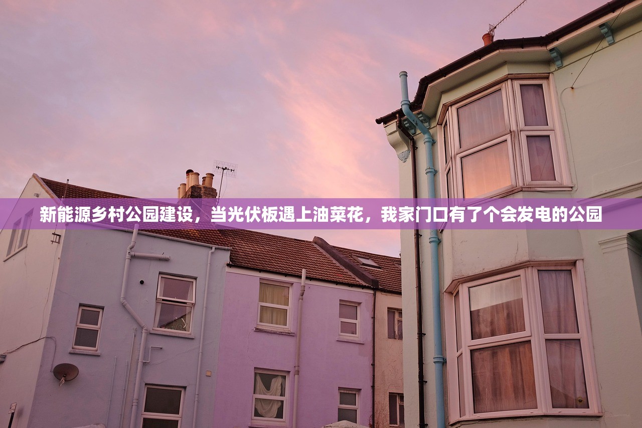 新能源乡村公园建设，当光伏板遇上油菜花，我家门口有了个会发电的公园