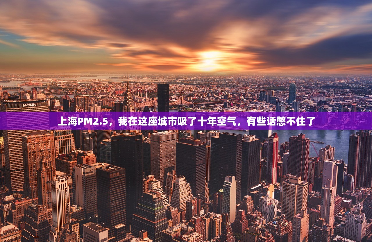 上海PM2.5，我在这座城市吸了十年空气，有些话憋不住了