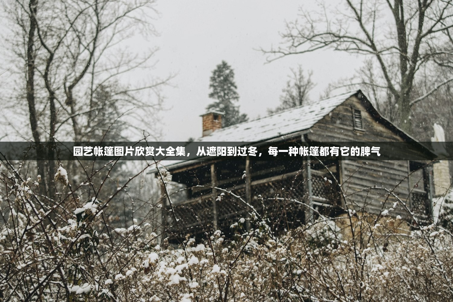 园艺帐篷图片欣赏大全集，从遮阳到过冬，每一种帐篷都有它的脾气