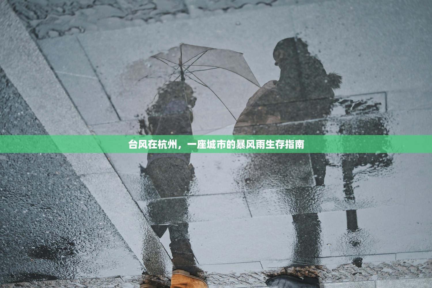 台风在杭州，一座城市的暴风雨生存指南