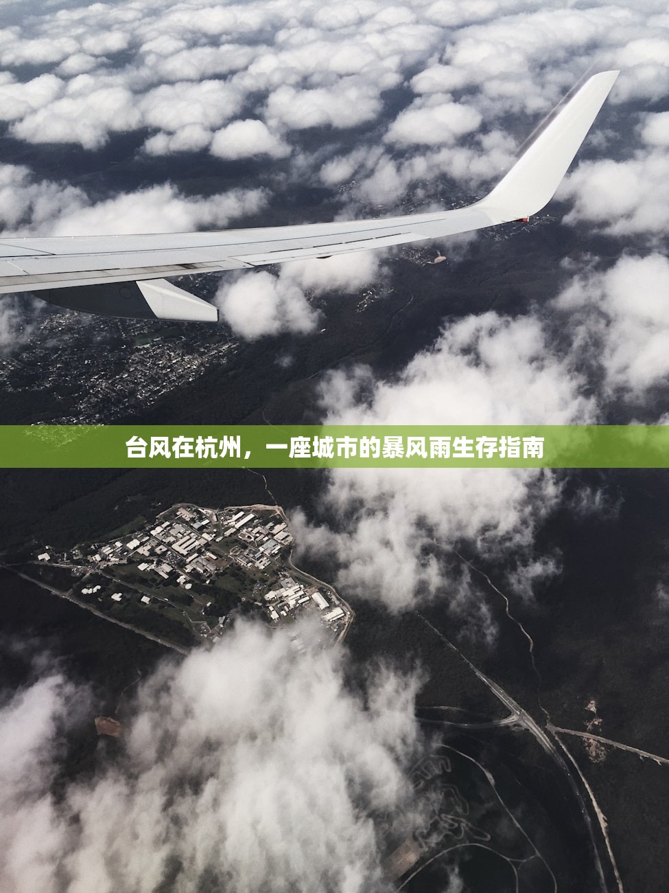 台风在杭州，一座城市的暴风雨生存指南