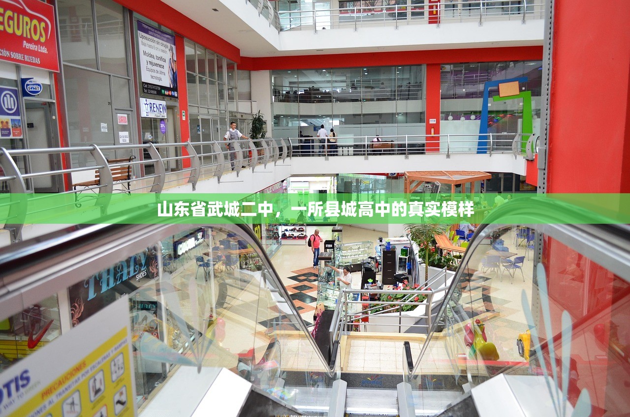 山东省武城二中，一所县城高中的真实模样
