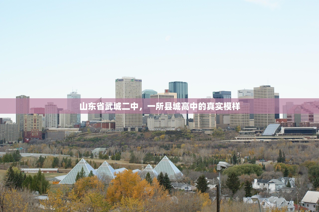 山东省武城二中，一所县城高中的真实模样