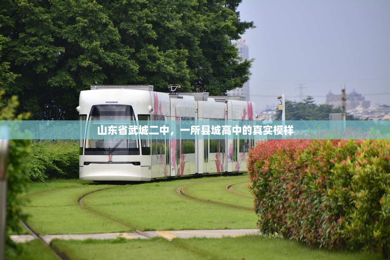 山东省武城二中，一所县城高中的真实模样