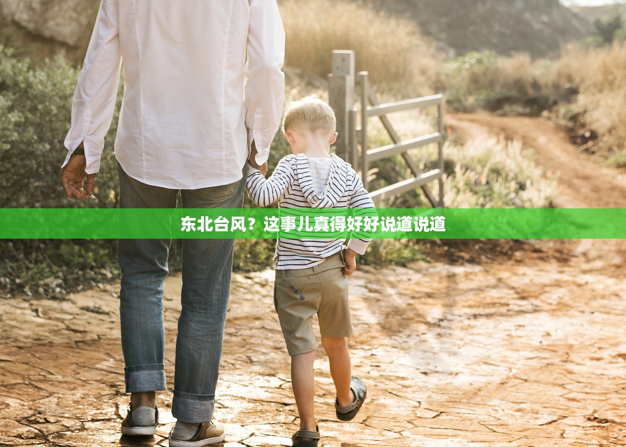 东北台风？这事儿真得好好说道说道