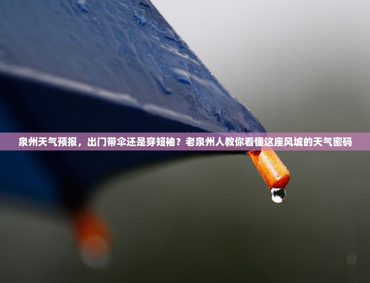 泉州天气预报，出门带伞还是穿短袖？老泉州人教你看懂这座风城的天气密码