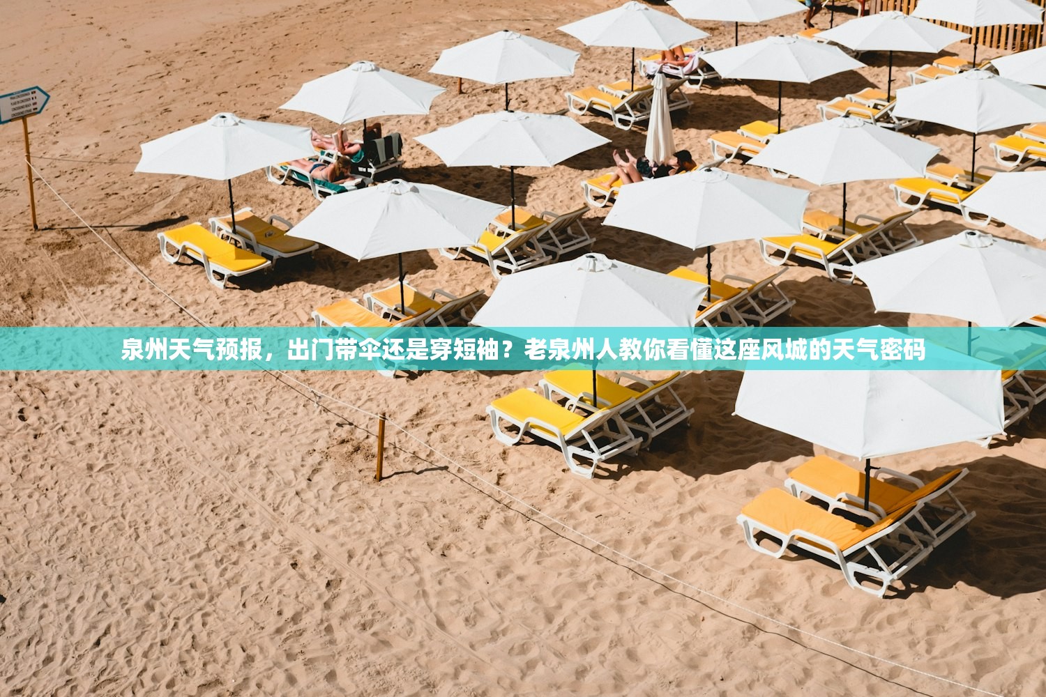 泉州天气预报，出门带伞还是穿短袖？老泉州人教你看懂这座风城的天气密码