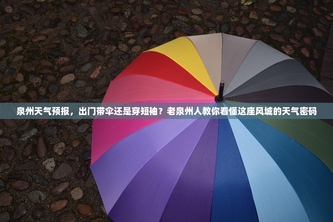 泉州天气预报，出门带伞还是穿短袖？老泉州人教你看懂这座风城的天气密码