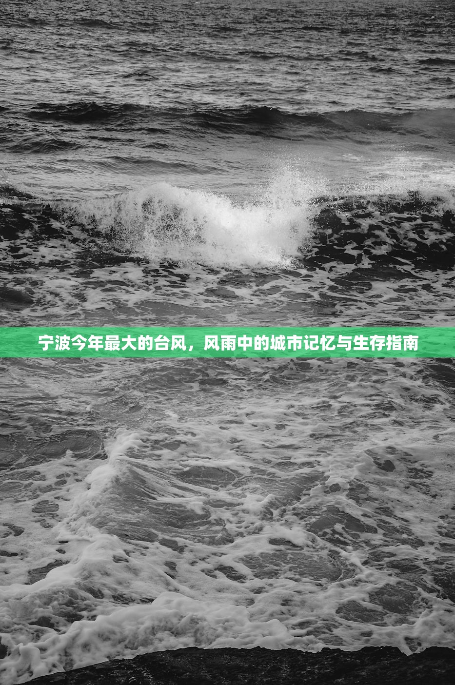宁波今年最大的台风，风雨中的城市记忆与生存指南
