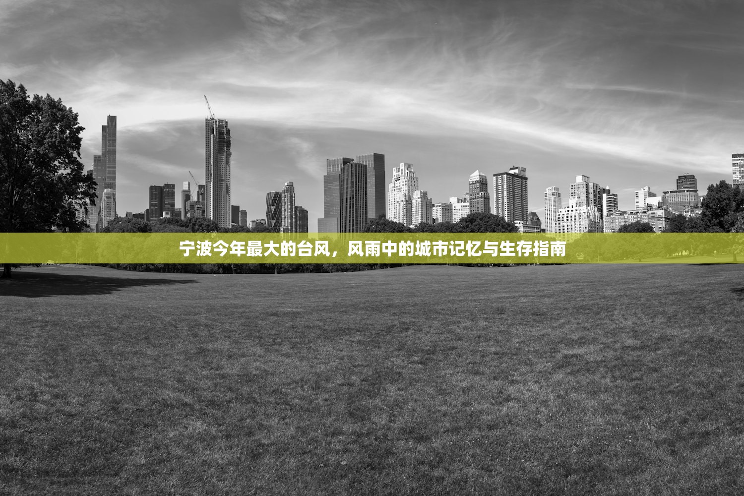 宁波今年最大的台风，风雨中的城市记忆与生存指南