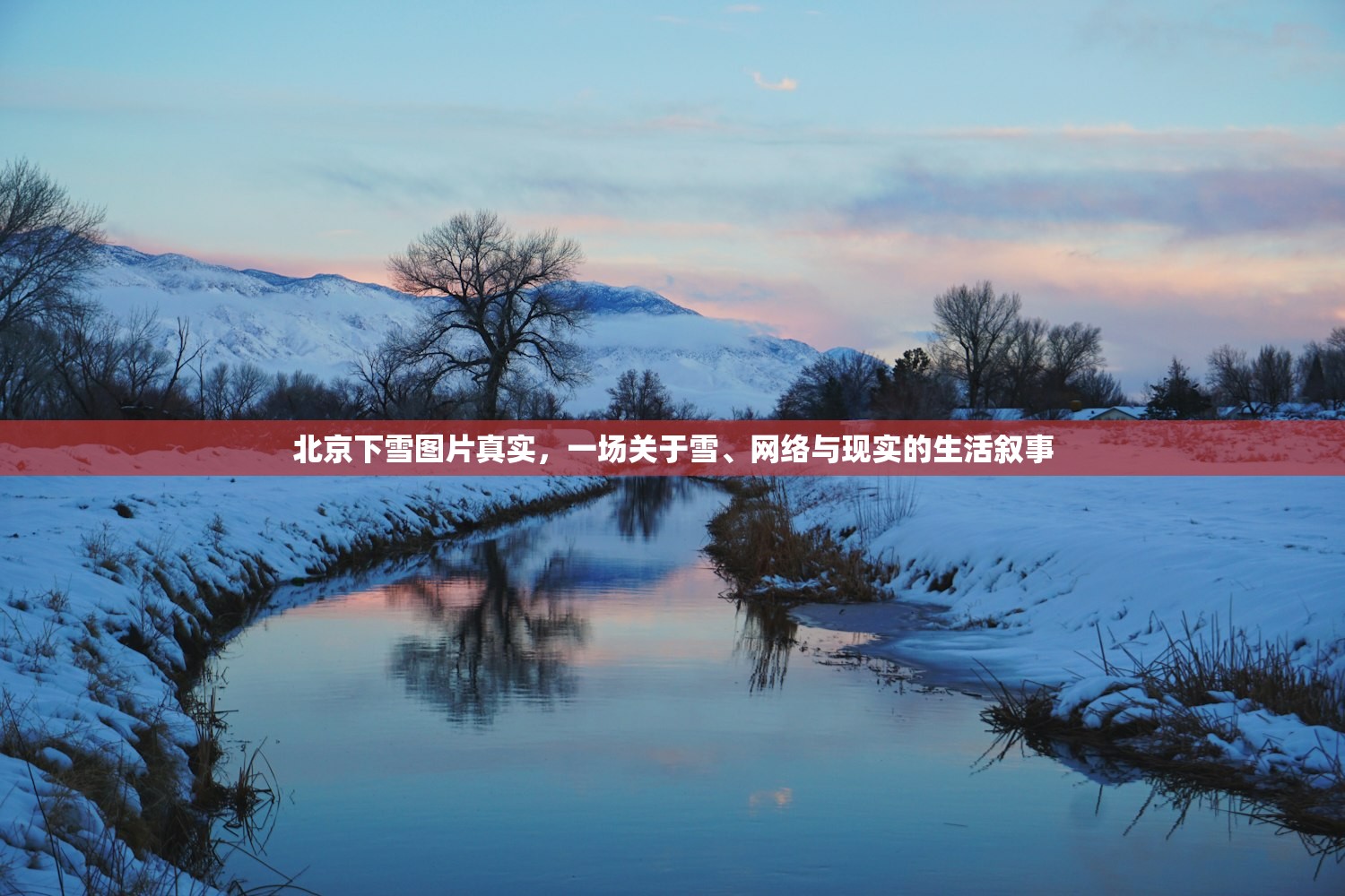北京下雪图片真实，一场关于雪、网络与现实的生活叙事