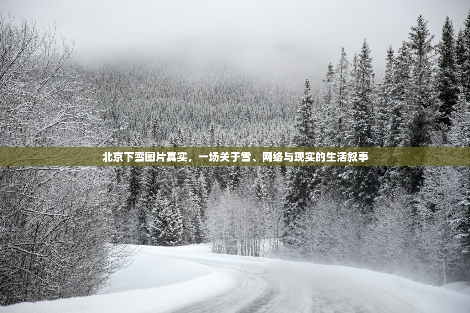 北京下雪图片真实，一场关于雪、网络与现实的生活叙事