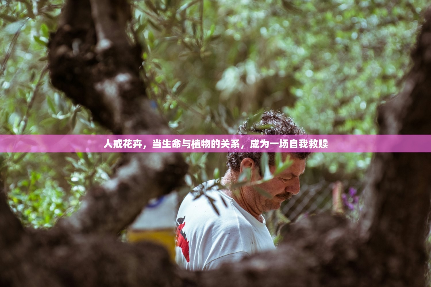 人戒花卉，当生命与植物的关系，成为一场自我救赎