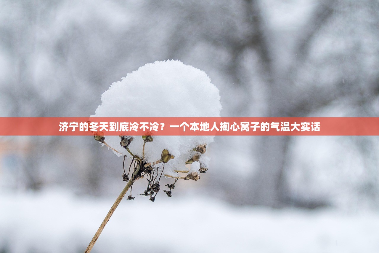 济宁的冬天到底冷不冷？一个本地人掏心窝子的气温大实话