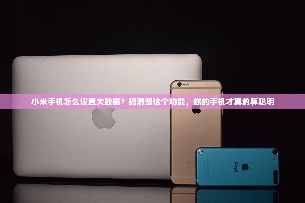 小米手机怎么设置大数据？搞清楚这个功能，你的手机才真的算聪明