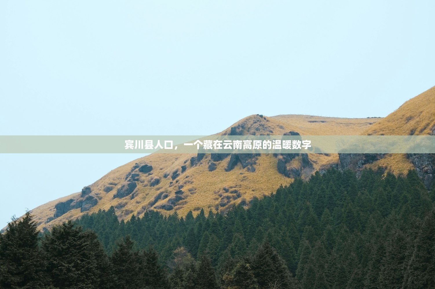 宾川县人口，一个藏在云南高原的温暖数字