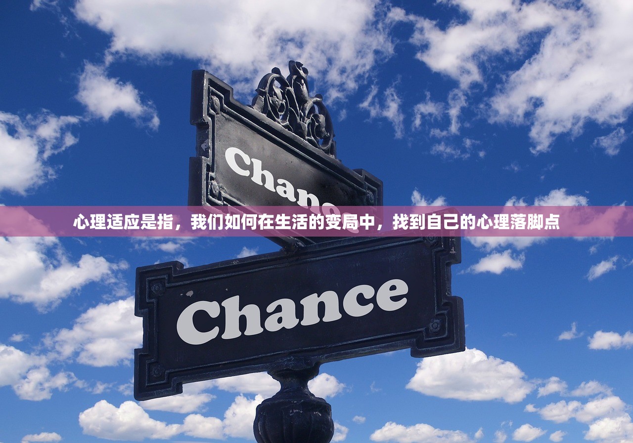 心理适应是指,我们如何在生活的变局中,找到自己的心理落脚点 心理适应是指,我们如何在生活的变局中,找到自己的心理落脚点