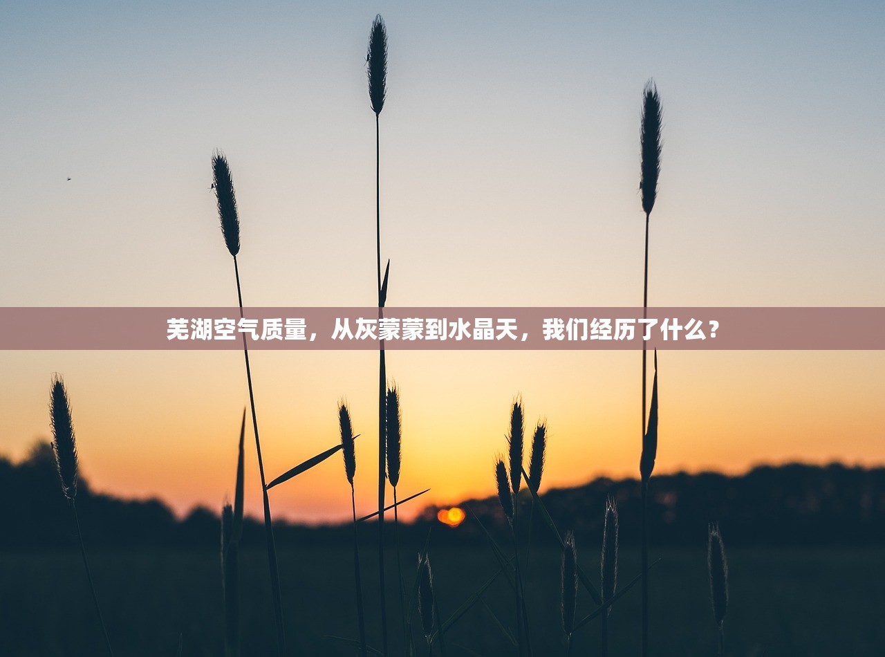 芜湖空气质量，从灰蒙蒙到水晶天，我们经历了什么？