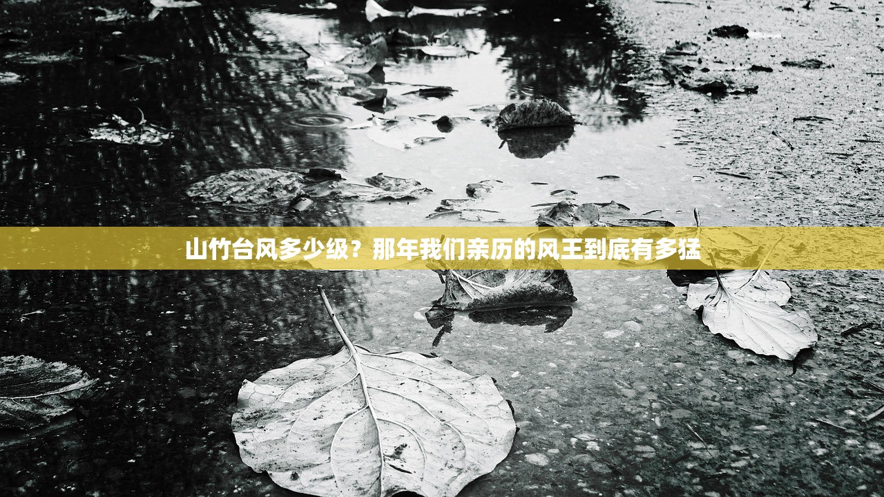 山竹台风多少级？那年我们亲历的风王到底有多猛