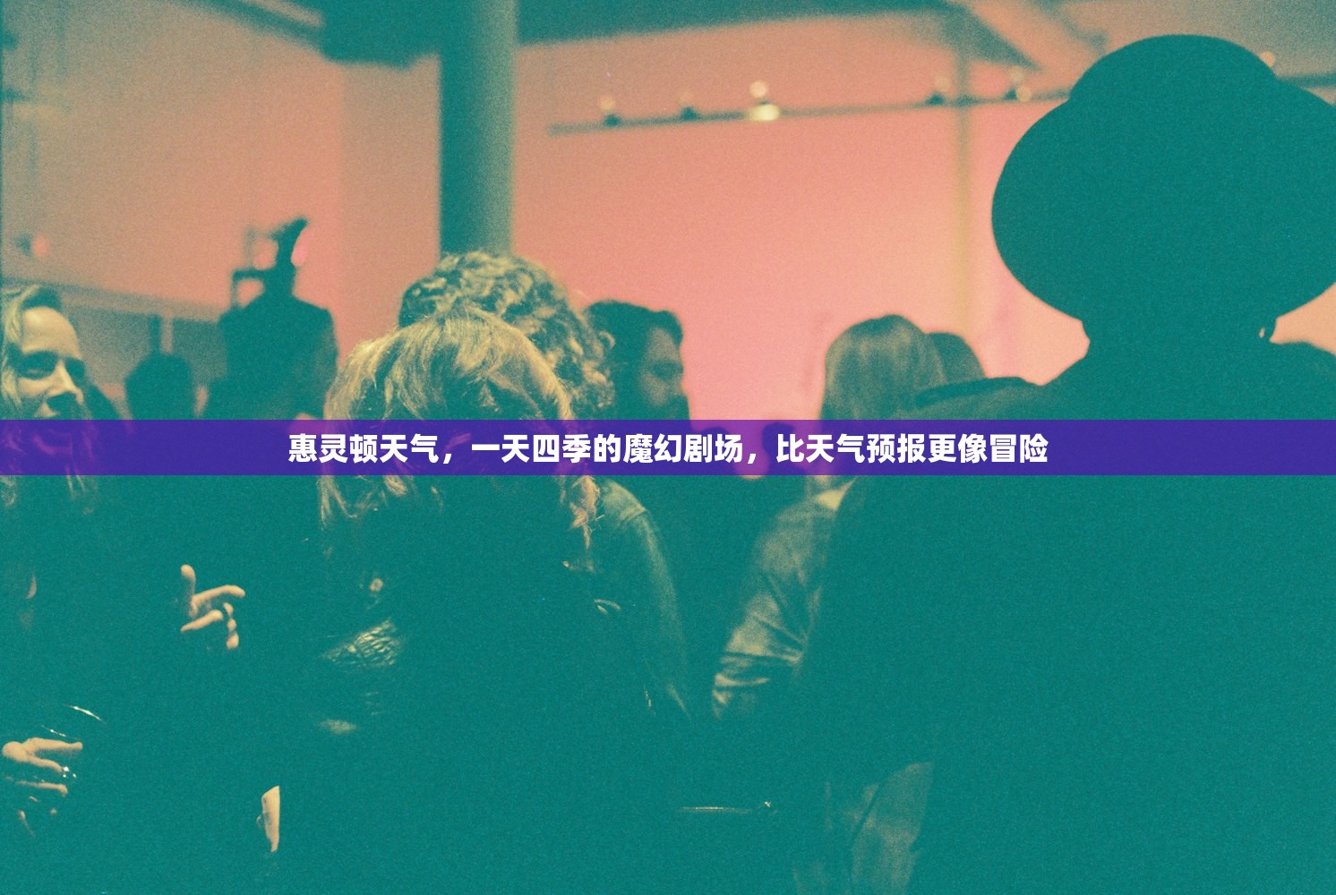 惠灵顿天气，一天四季的魔幻剧场，比天气预报更像冒险