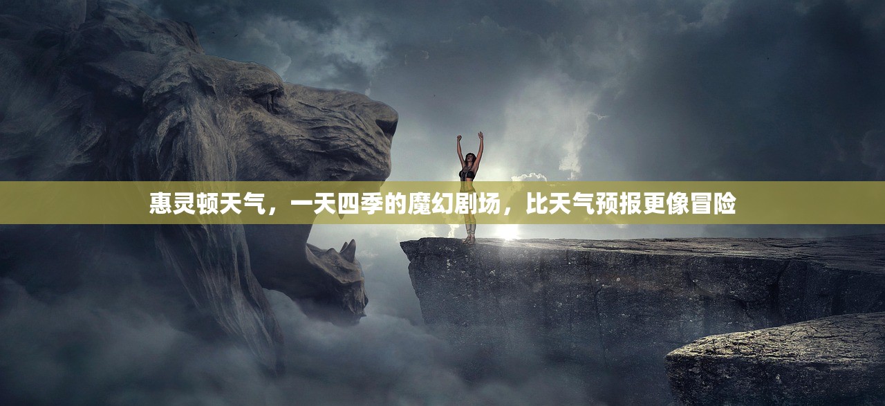 惠灵顿天气，一天四季的魔幻剧场，比天气预报更像冒险