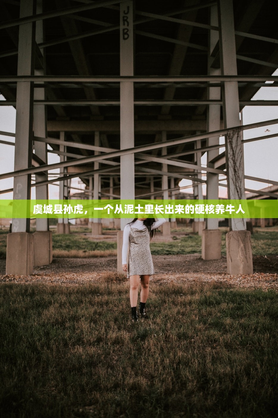 虞城县孙虎，一个从泥土里长出来的硬核养牛人