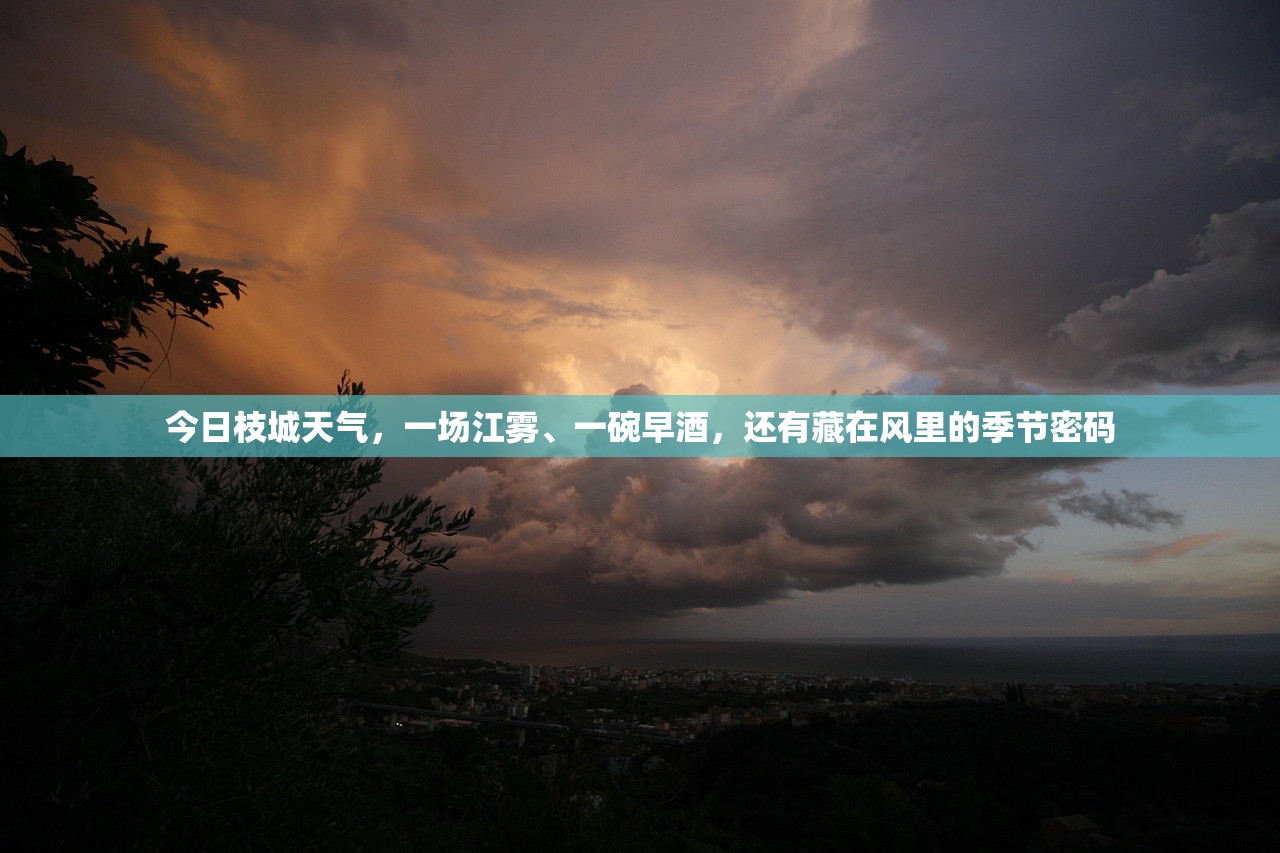 今日枝城天气,一场江雾、一碗早酒,还有藏在风里的季节密码 今日枝城天气,一场江雾、一碗早酒,还有藏在风里的季节密码