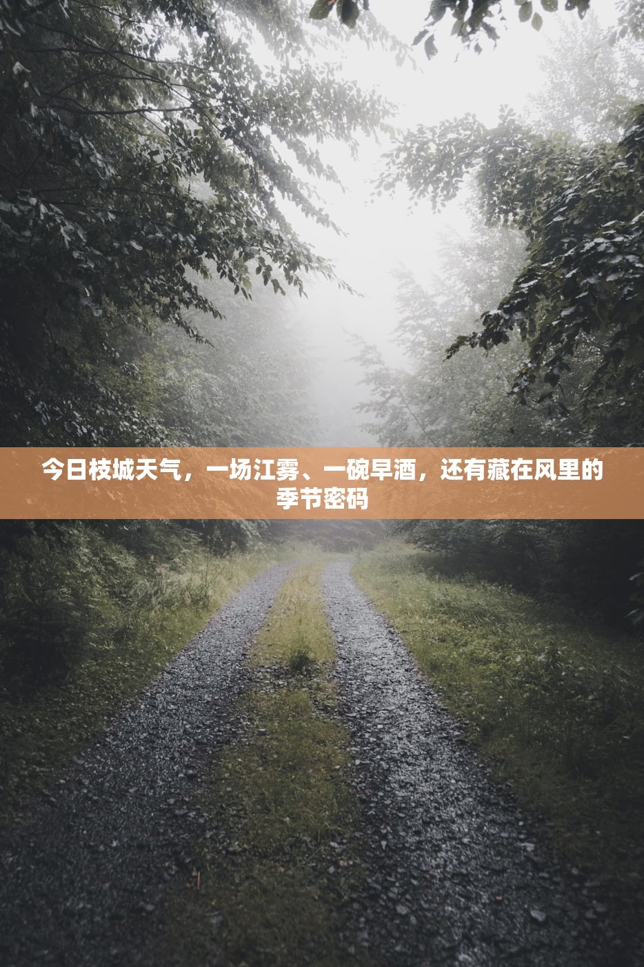 今日枝城天气,一场江雾、一碗早酒,还有藏在风里的季节密码 今日枝城天气,一场江雾、一碗早酒,还有藏在风里的季节密码