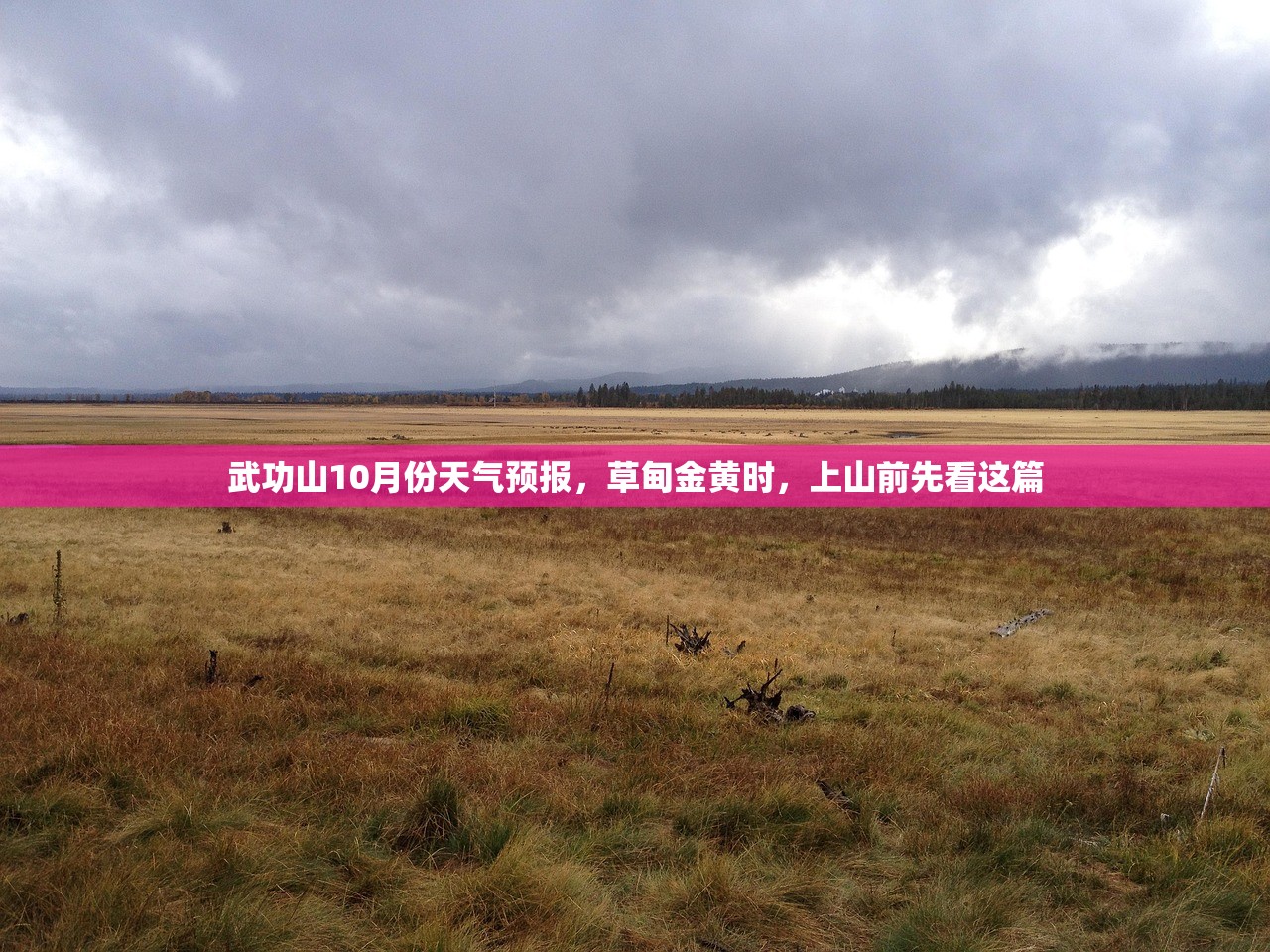 武功山10月份天气预报,草甸金黄时,上山前先看这篇 武功山10月份天气预报,草甸金黄时,上山前先看这篇