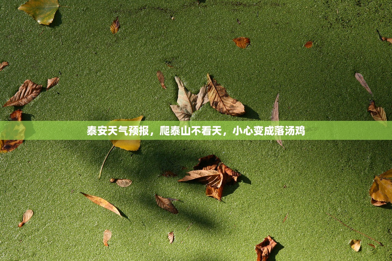 泰安天气预报，爬泰山不看天，小心变成落汤鸡