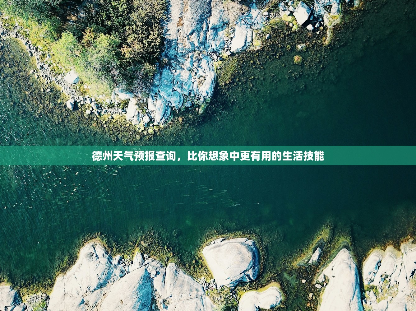 德州天气预报查询，比你想象中更有用的生活技能