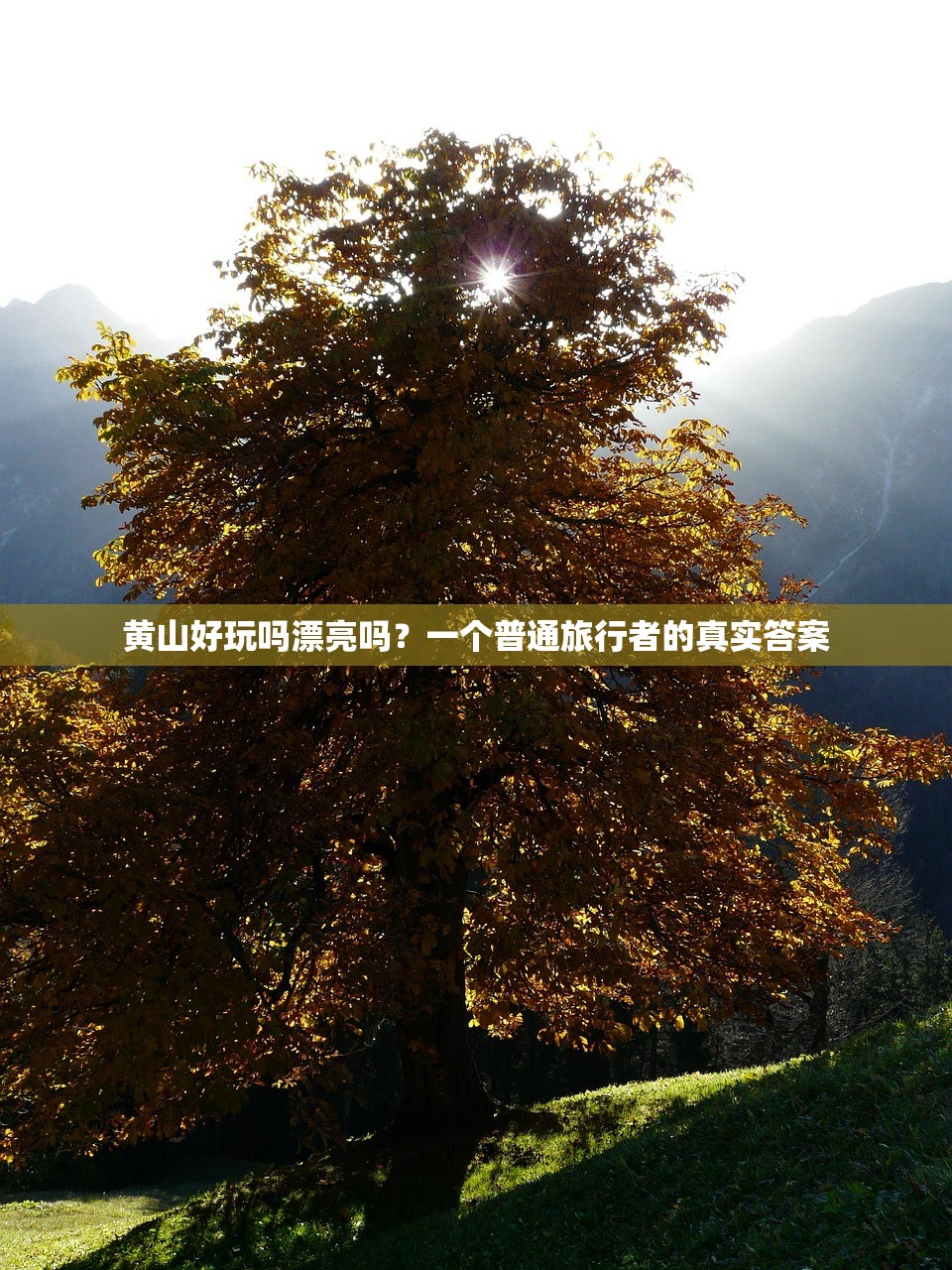 黄山好玩吗漂亮吗？一个普通旅行者的真实答案