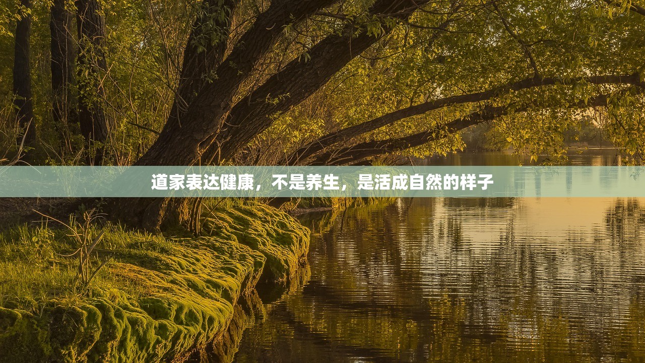 道家表达健康，不是养生，是活成自然的样子